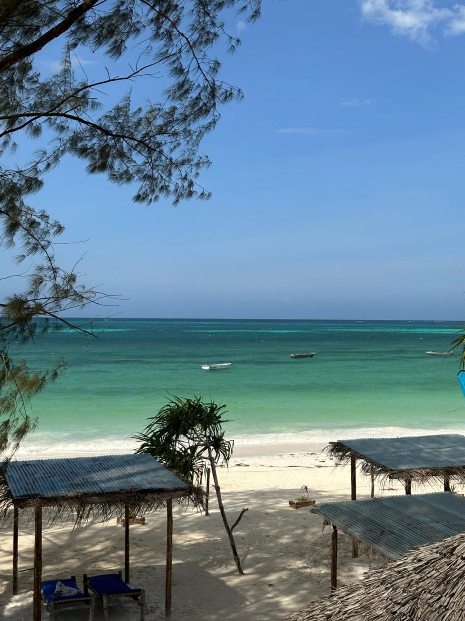 Kiwengwa Bungalow Boutique Resort Esterno foto